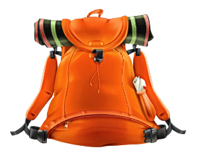 bag