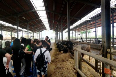 energia-rinnovabile-paestum-caseificio