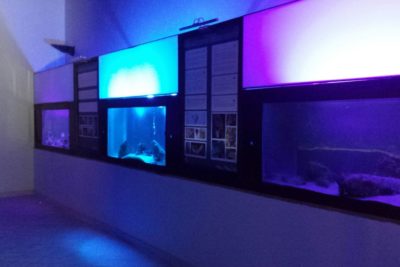 museo mare