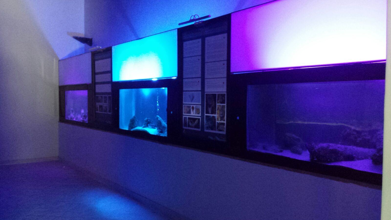 museo mare