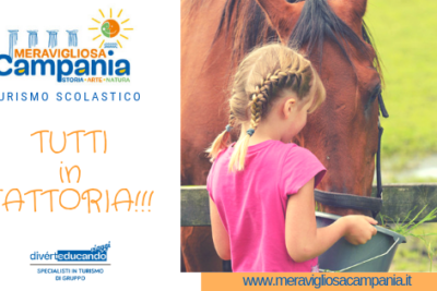 gita scolastica in fattoria campania