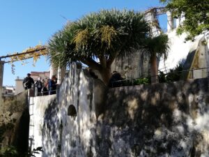 giardino della minerva