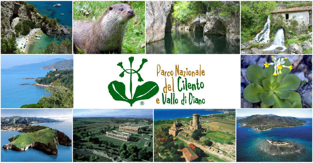 viaggi gruppo cilento