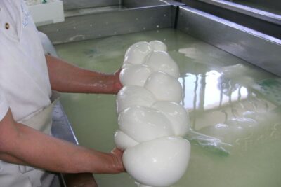 paestum, mozzarella museo della