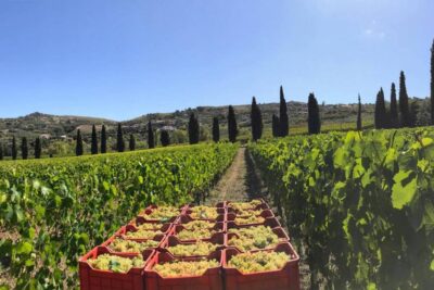 Cilento: rosso, bianco, blu