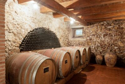 wine tour sant'arsenio
