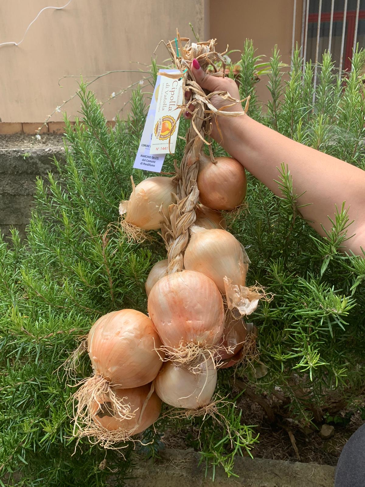 vatolla: vico e cipolla