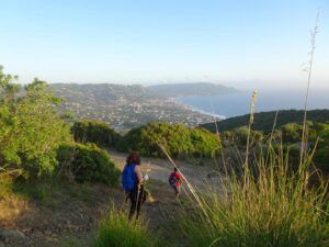 Monte tresino - parco nazionale del cilento