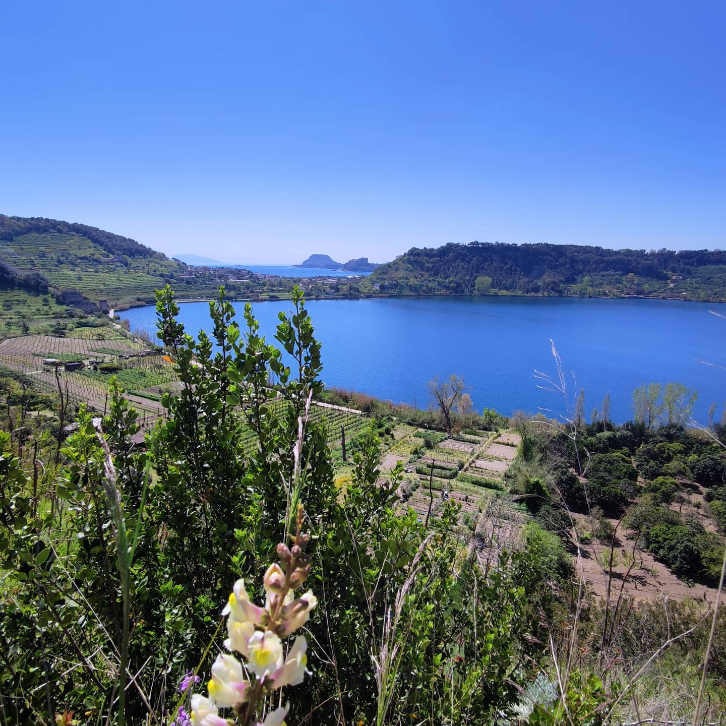 alla scoperta dell'area flegrea