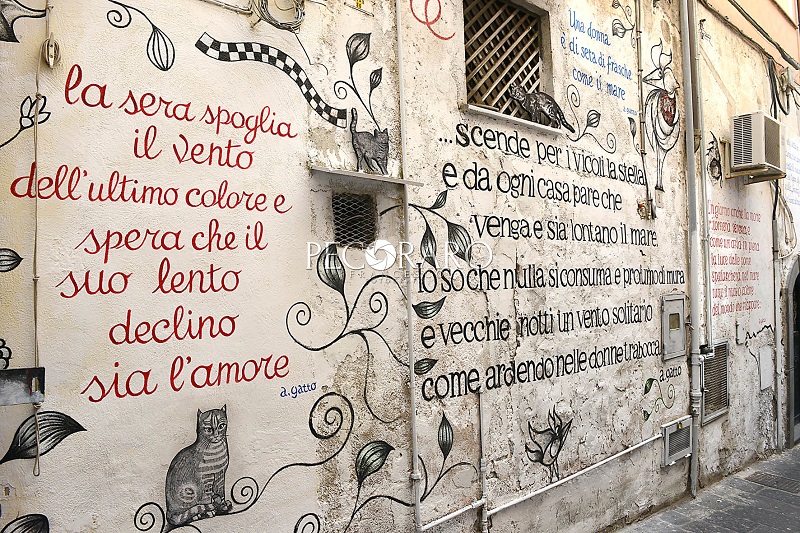 gita scolastica salerno e la scuola medica