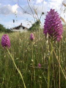 il sentiero della Natura