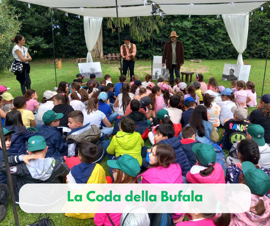 la coda della bufala