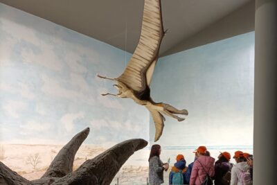 Museo Paleontologico