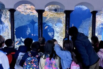acquario-aquarium-a.dohrn-napoli