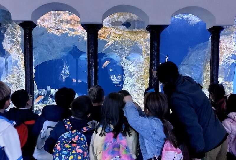 acquario-aquarium-a.dohrn-napoli